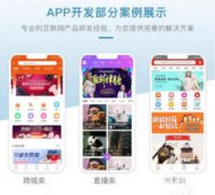 微信公众号小程序开发、APP、脚本、电商定制开发