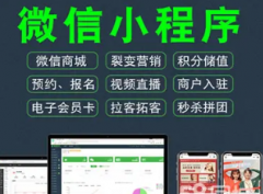 微信小程序开发|公众号开发